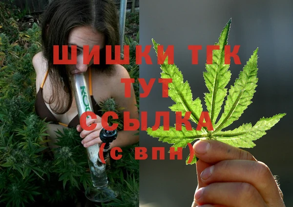 соль курить ск Долгопрудный