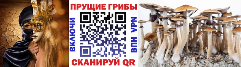 магазин продажи наркотиков Тбилисская Галлюциногенные грибы Magic Shrooms