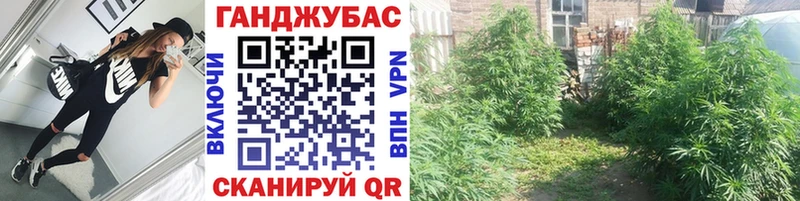кракен сайт  Тбилисская  Канабис гибрид 